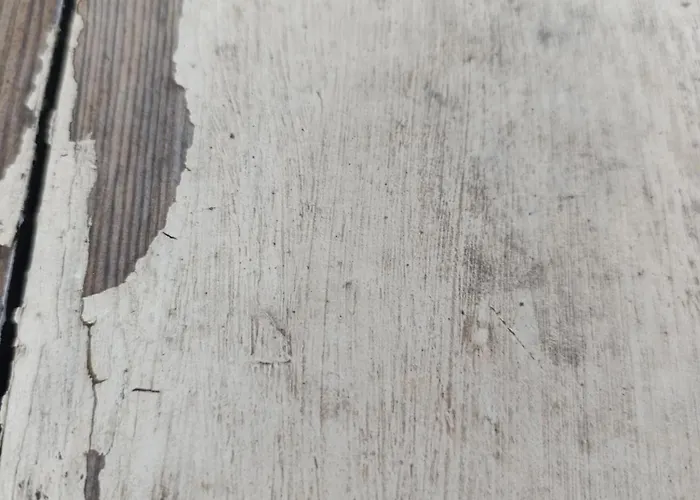 Eco-friendly - Hot Tub Forest & Sea Access 度假居