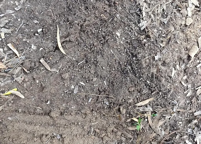 Сasa de vacaciones Eco-friendly - Hot Tub Forest & Sea Access Mastichari (Kos)